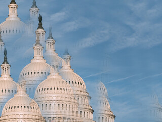 Government Disenchantment