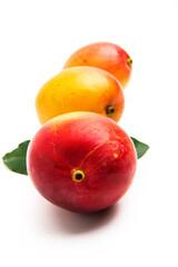 Mango fruit isolated on white background