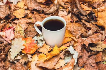 Black tea in dry leaves.