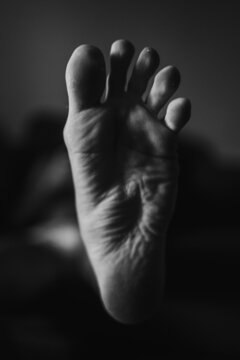 Human foot