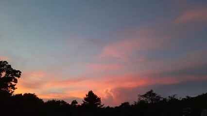 sunset in the forest