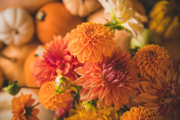 Dahlia bouquet with pumpkins