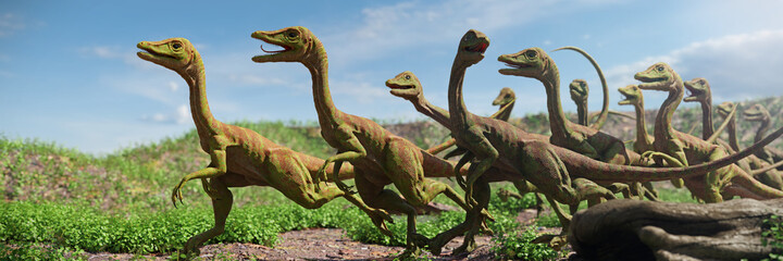Compsognathus longipes, group of dinosaurs from the Late Jurassic period