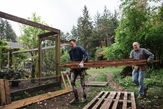 Father and son carrying fence