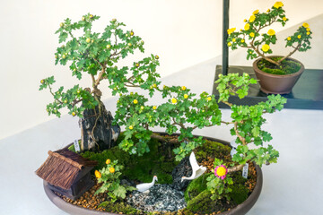 Miniature display suggesting a house located in nature with some birds by the lake and flowering...