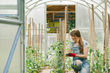 Woman Working At Hothouse Wearing Gloves