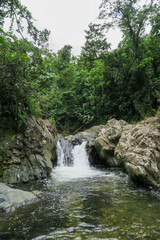 Fototapeta na wymiar rapid stream in the rainforest