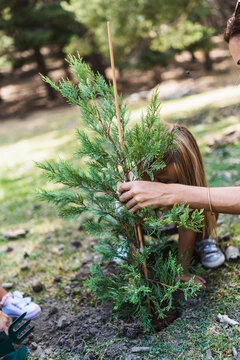 Girl planting tree with mother