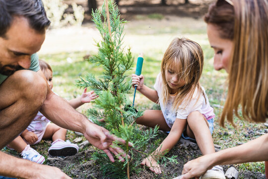 Family planting tree seedling