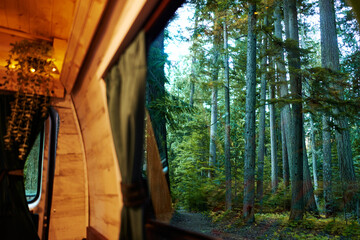 forest from a camper
