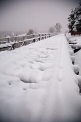 Snow-covered trolly track in John's Landing neighborhood of southwest Portland, Oregon near Willamette River