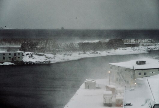 Winter storm in Lofoten Islands, Norway - Arctic blizzard