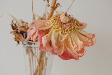 Dried flowers bouquet 