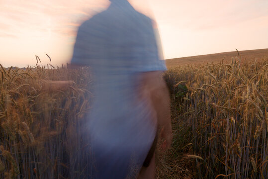 Man walking on wheat field in outdoor summer nature