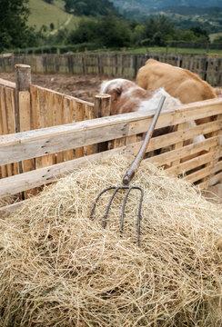 Straw pitchfork