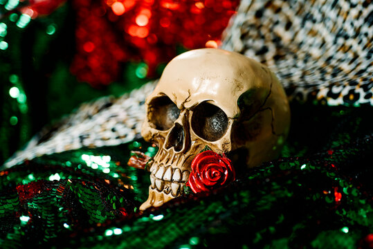skull with a red rose in its mouth