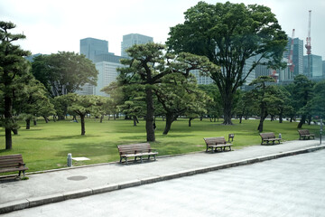 Tokyo Park and city behind