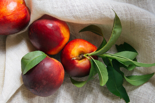 Fresh Nectarine still life