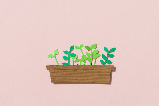 Green Seedlings ing tray home plant