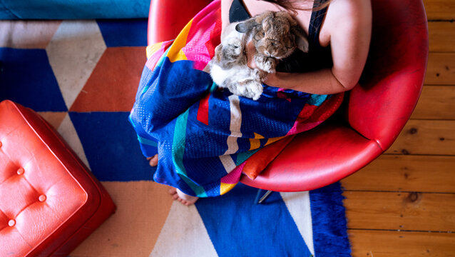 Woman holding pet bunny rabbit on her lap