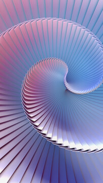 SEASHELL SPIRAL