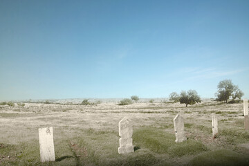 Cemetery with trees and many tombstones