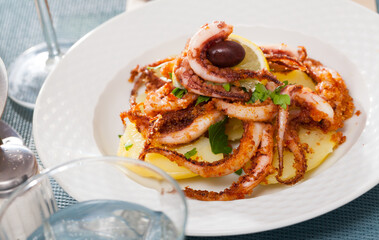 Seafood lunch. Tasty fried squid or octopus tentacles closeup. High quality photo
