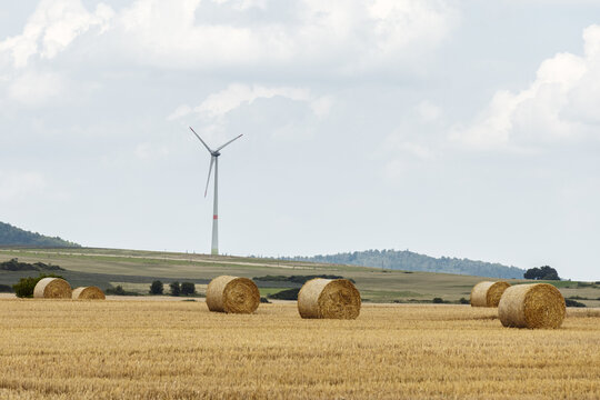 Round bale of straw in the meadow.