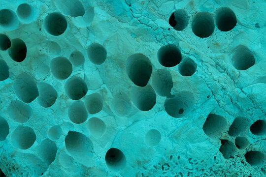 mint green background with holes
