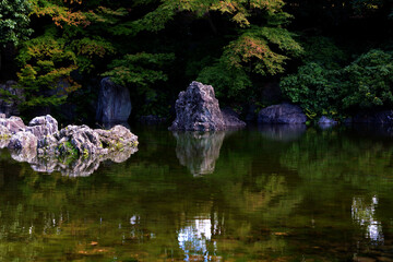 日本庭園の静かな池ともみじ