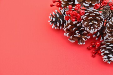 Frosted pine cones and red berries on red background with copy space.