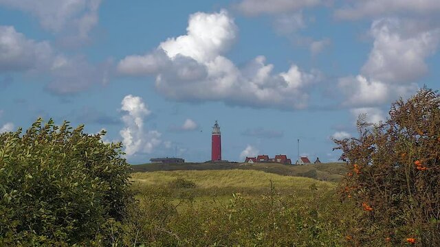 Slow motion of 2 busches and Waving Marram grass in the foreground. In the distance we see a lighthouse in the dunes together with some builings. The sky is blue with beautiful clouds passing by.