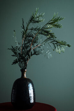 cedar branch