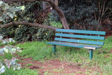 weathered bench in the park