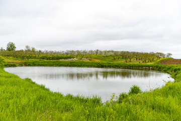 Fototapeta na wymiar Apple Orchard Landscape with a Pond