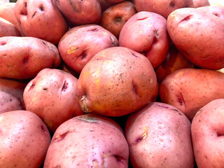 Fresh Potatoes backgrounds sale at neighborhood market.