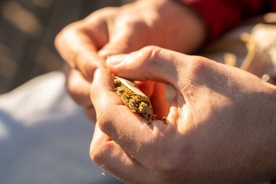 Man rolling cannabis joint at home