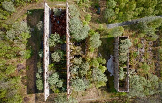 Old factory building ruins overgrown with forest of trees