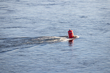 Red buoy on the Yenisei river © ok_fotoday