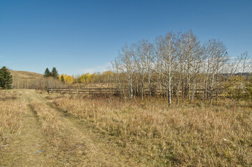 Countryside road in the Autumn