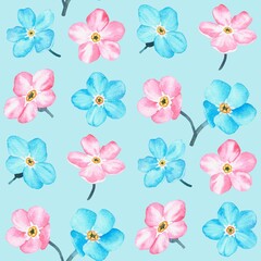 Blue and pink forget-me-not. Pattern. Watercolor botanical illustration included in the collection of wildflowers. Isolated image on a blue background. For your design.