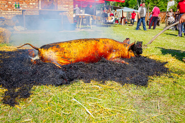 Burning straw to removing hair from the pig's skin