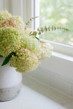 Limelight hydrangeas arranged in pottery
