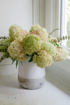 Limelight hydrangeas arranged in pottery