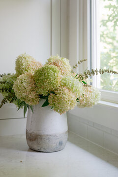Limelight hydrangeas arranged in pottery