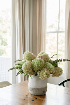 Limelight hydrangeas arranged in pottery