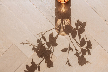 Flowers shadow silhouette