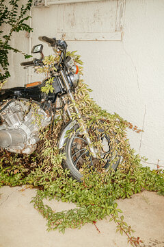 Natural World Reclamation