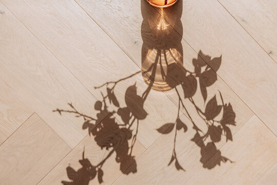 Flowers shadow silhouette