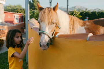 Kid and horse